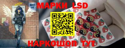 apvp Кунгур