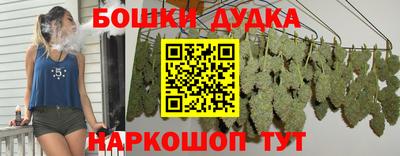 круглые Лесосибирск