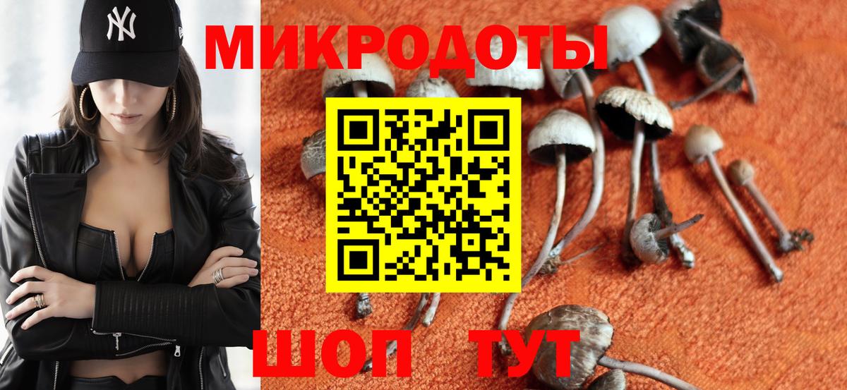 Псилоцибиновые грибы мицелий  Вход с VPN  магазин    Шебекино 